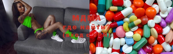 индика Алексин