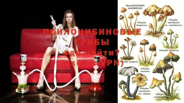 марихуана Абаза