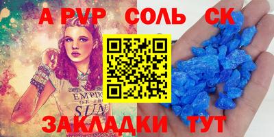 стаф Майкоп