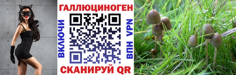 Псилоцибиновые грибы Magic Shrooms Гагарин