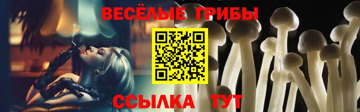 Галлюциногенные грибы Cubensis  Вход с VPN  Гагарин 